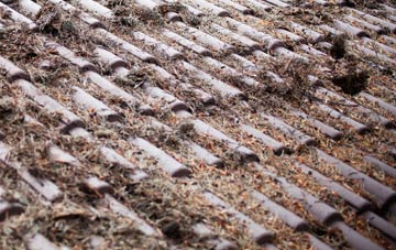 Odsey roof cleaning companies