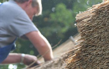 professional Odsey thatchers